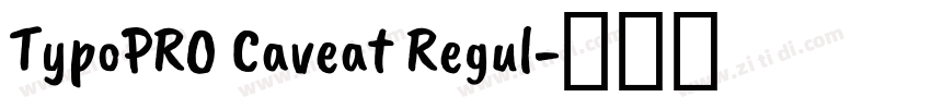 TypoPRO Caveat Regul字体转换